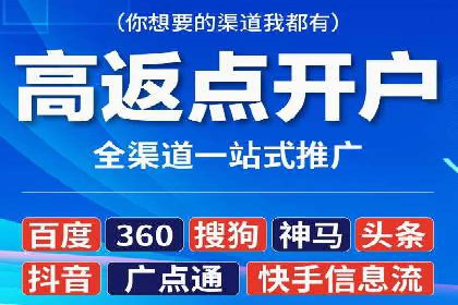 某行业SEM竞价策略的运营实践与效果